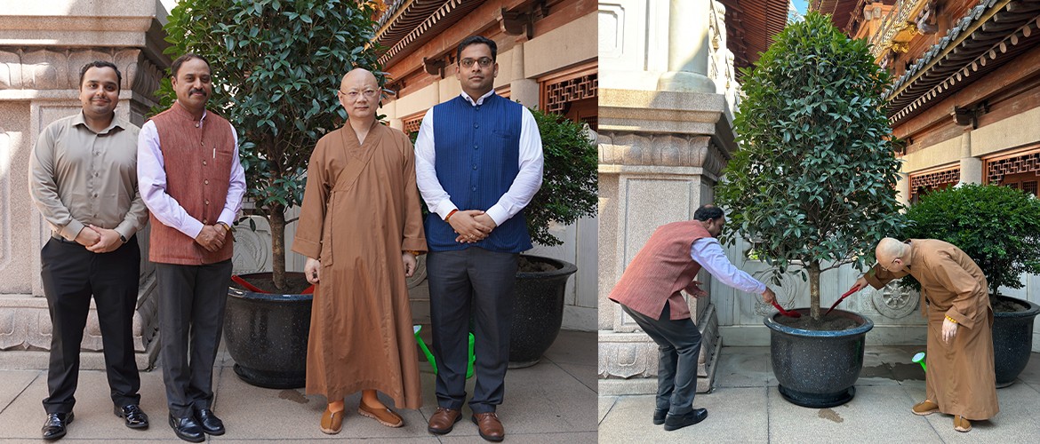  'Tree plantation at Jinga'an Temple, Shanghai as part of the Plant4Mother Campaign (05.08.2024).